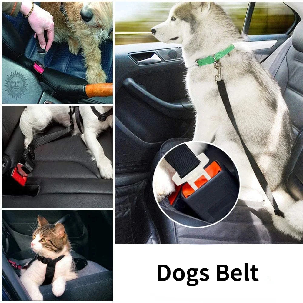 Cinturón de Seguridad Ajustable para Perros y Gatos en Auto