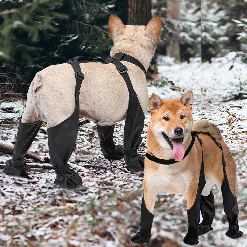 Zapatos Antideslizantes para Perros