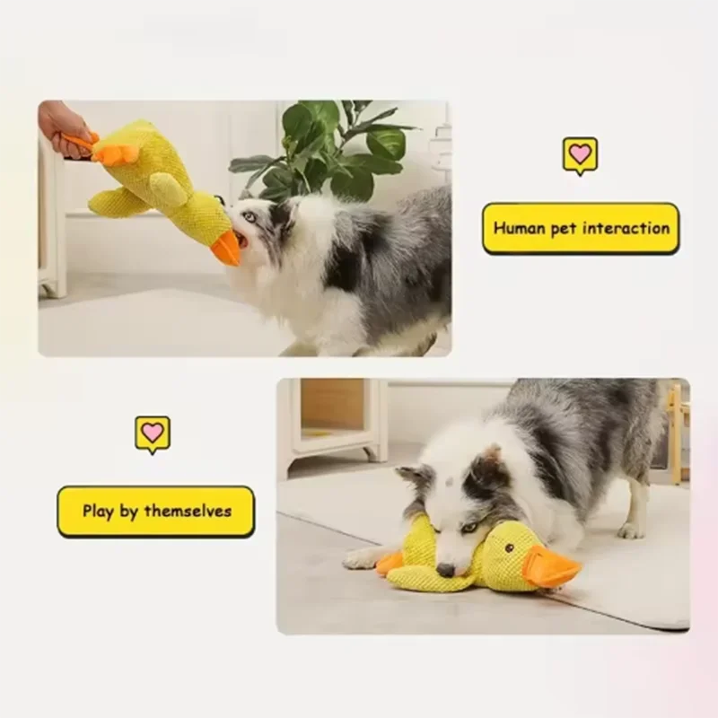 Duck Dog Toy – Bite-Resistant & Dental Cleaning
