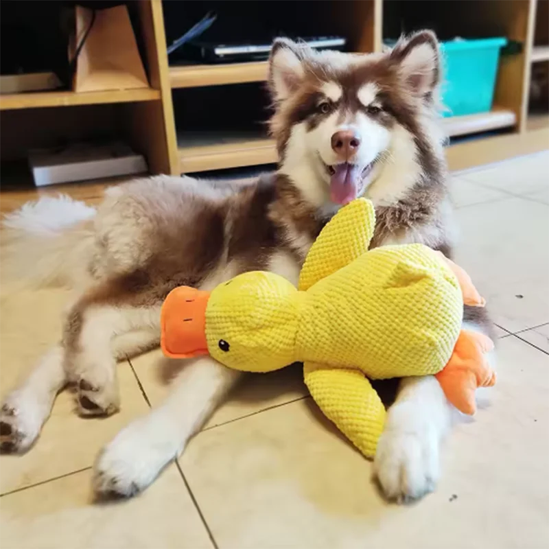 Duck Dog Toy – Bite-Resistant & Dental Cleaning