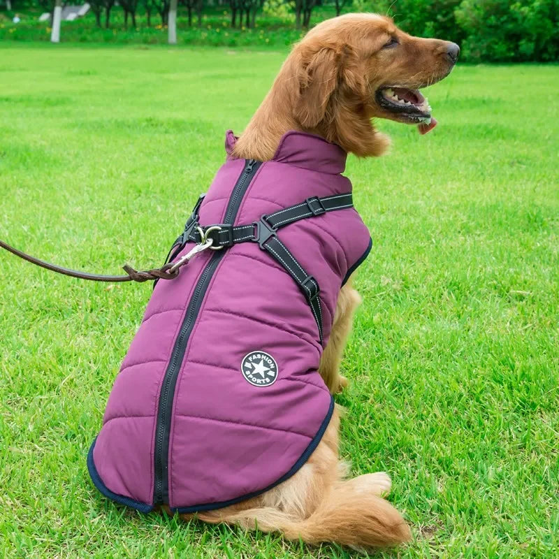 Abrigo Impermeable para Perros con Arnés