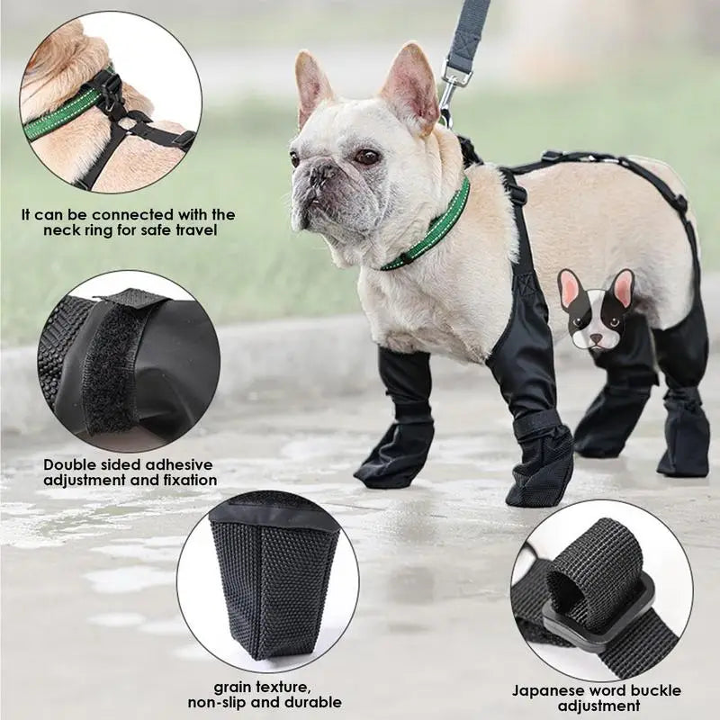 Zapatos Antideslizantes para Perros