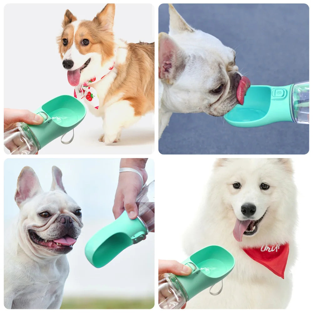 Portable Leak-Proof Pet Water Bottle – RAFARO™ Travel Feeder