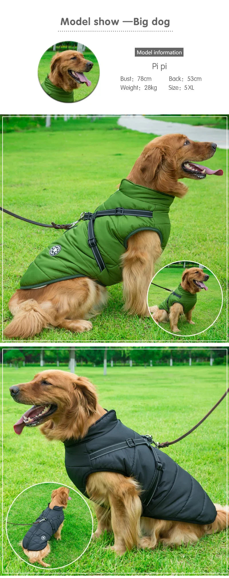 Abrigo Impermeable para Perros con Arnés