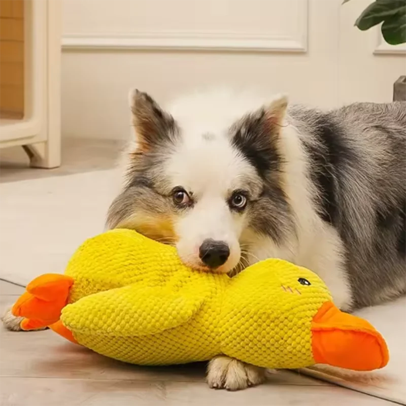 Duck Dog Toy – Bite-Resistant & Dental Cleaning