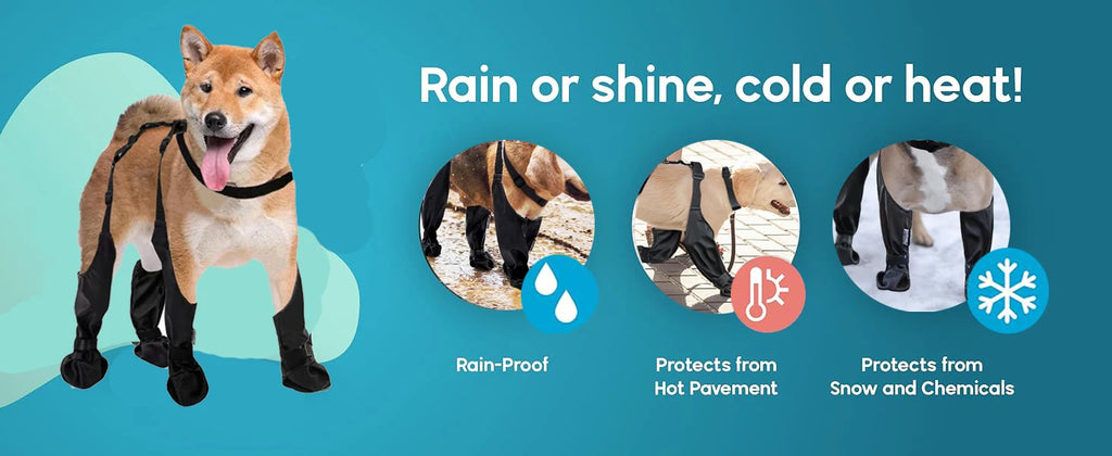 Zapatos Antideslizantes para Perros