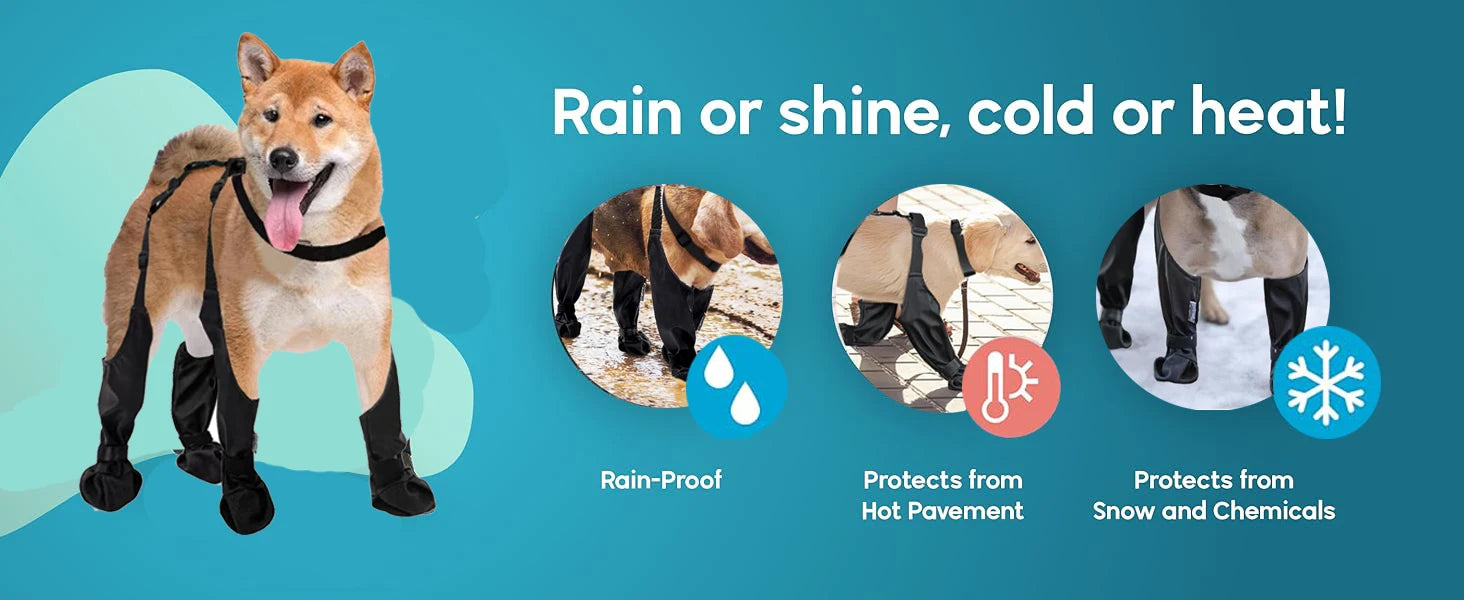 Zapatos Antideslizantes para Perros